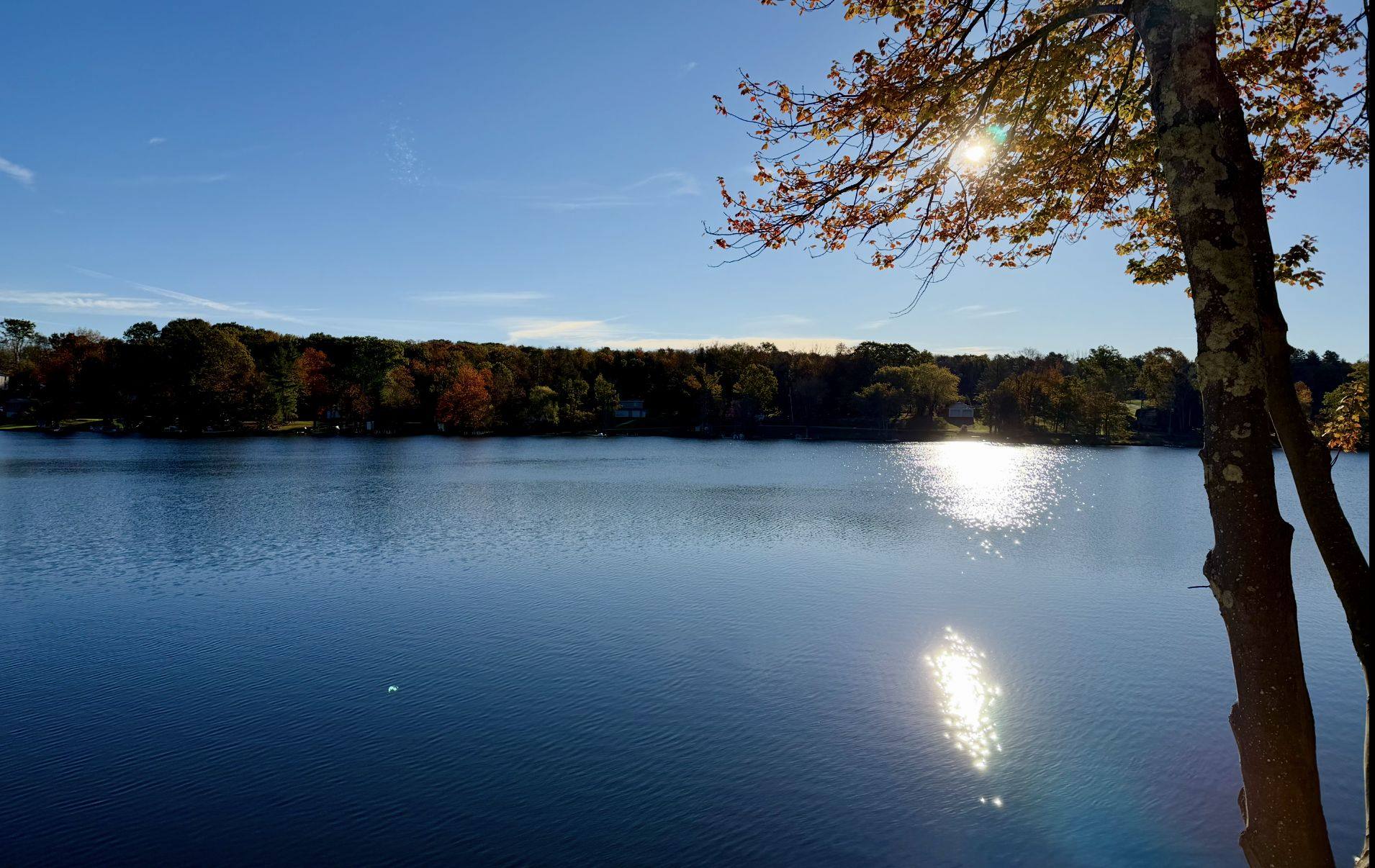 Late light over Lake Huntington, the sun low on the water beyond a bare shoreline tree.